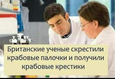 Крабовые крестики.jpg