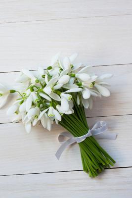 Bouquets_Snowdrops_Wood_planks_521382_640x960.jpg