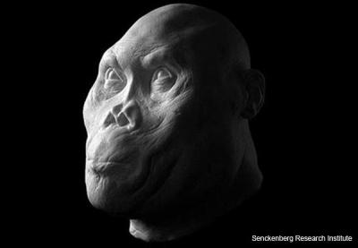 ancient-hominids-reconstruction-1.jpg