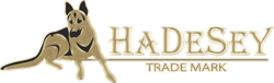 hadesey_logo.png