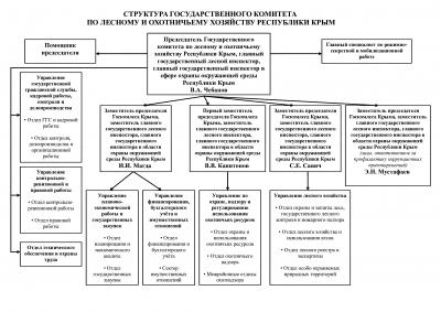 Схема власти в днр