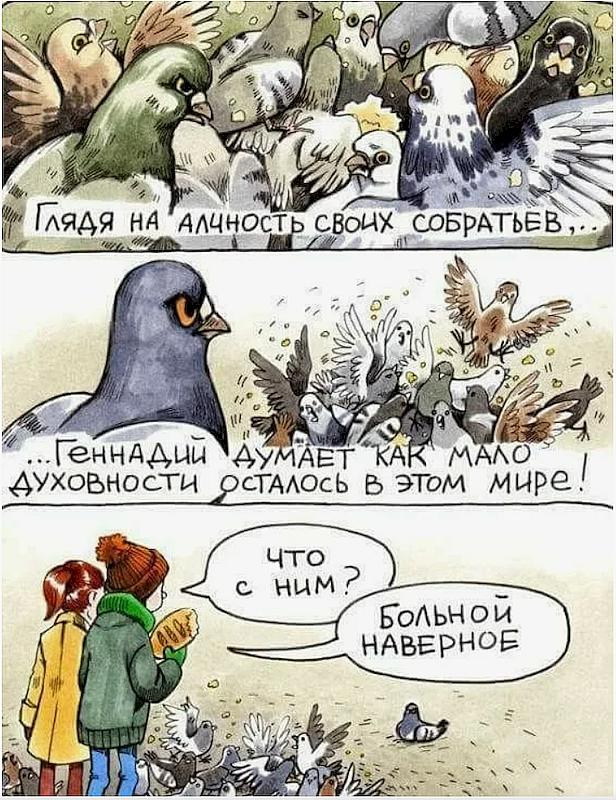 мало духовности.jpg