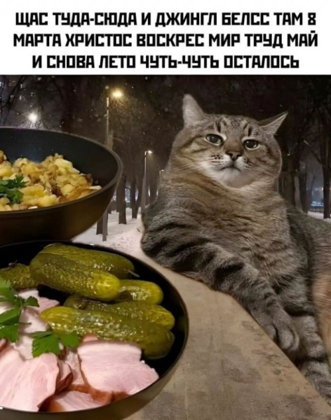 20357105.jpg