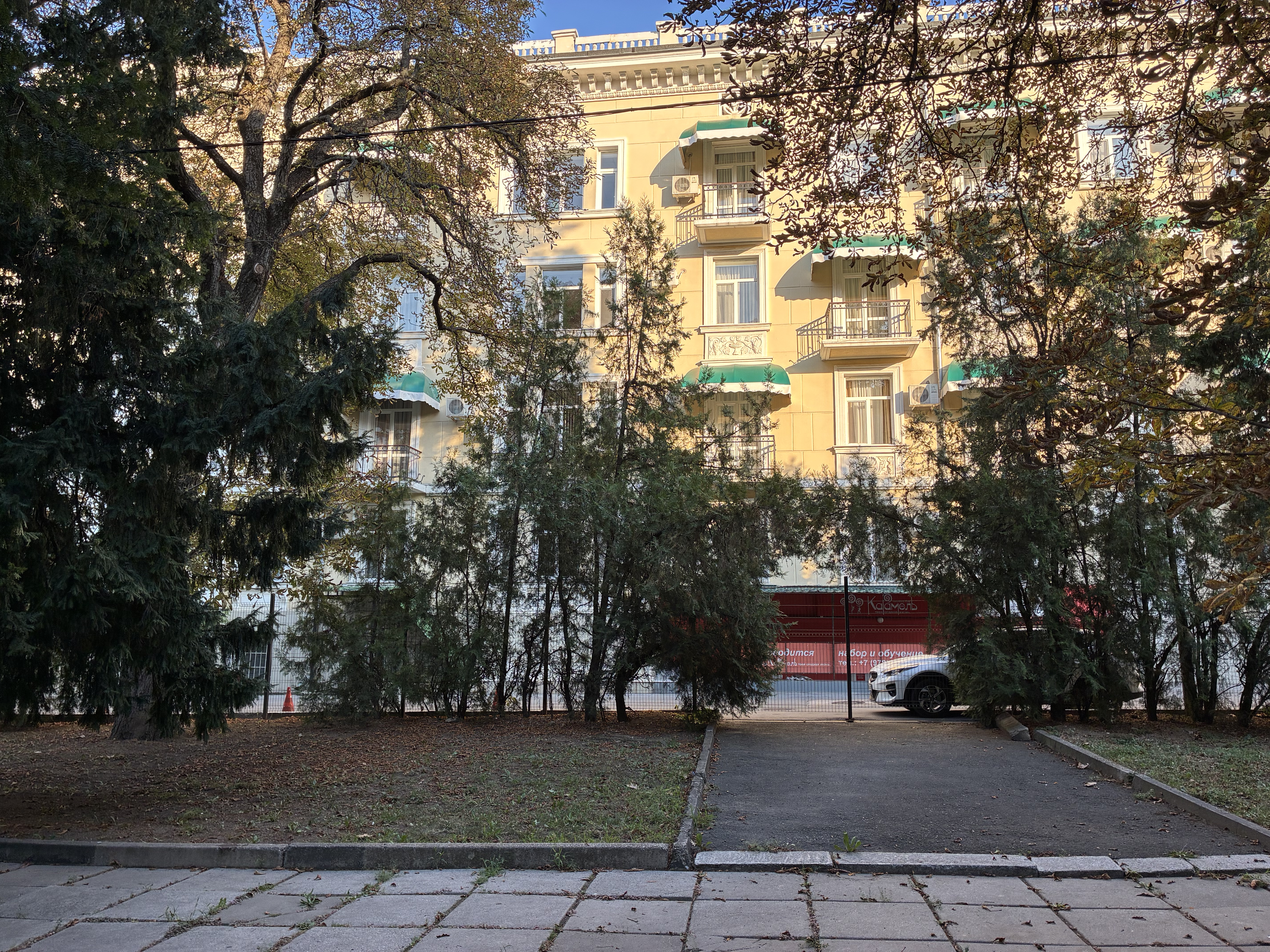 IMG_8776.jpeg